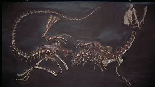 дилофозавр