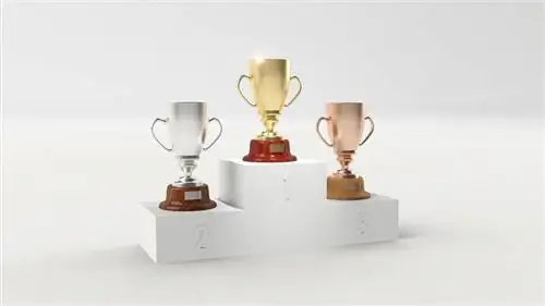 золотые, серебряные и бронзовые трофеи
