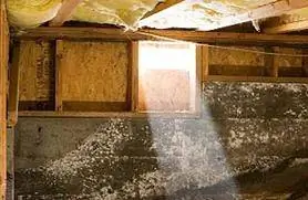 подвал под домом