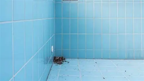 Глядя в старый, ветхий, заброшенный открытый бассейн без воды.