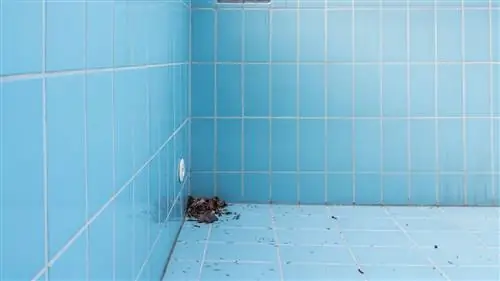 Как слить воду из бассейна с помощью садового шланга