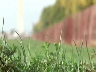 Как работает капельное орошение?