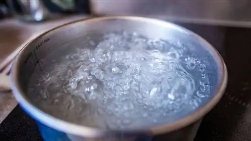 кипящая вода кипящая вода