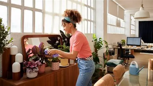 женщина чистит искусственные растения женщина чистит искусственные растения