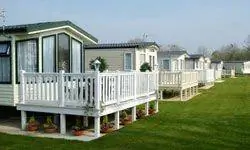 собака грызет мебель