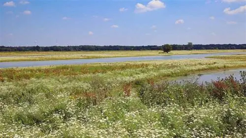 зона затопления