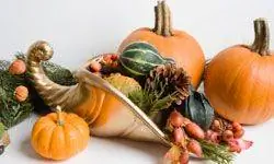 Дисплей тыквы и тыквы