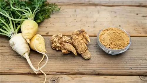 Что нужно знать о многочисленных преимуществах корня маки