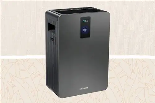 Bissell Air Purifier Deal Tout