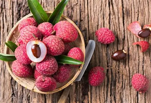 Какой вкус у личи? Все об этом тропическом фрукте