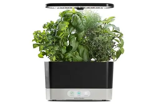 Amazon Prime Day AeroGarden Harvest с набором стручков для гурманских трав