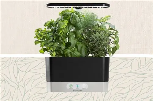 Беги, не ходи - на этот набор трав AeroGarden для помещений действует скидка 70% в прайм-день