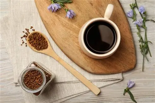 Чашка вкусного напитка из цикория, гранулы и цветы на белом деревянном столе, плоская планировка Чашка вкусного напитка из цикория, гранулы и цветы на белом деревянном столе, плоская планировка