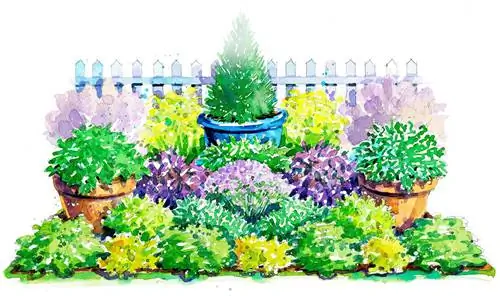 план сада с красочными травами