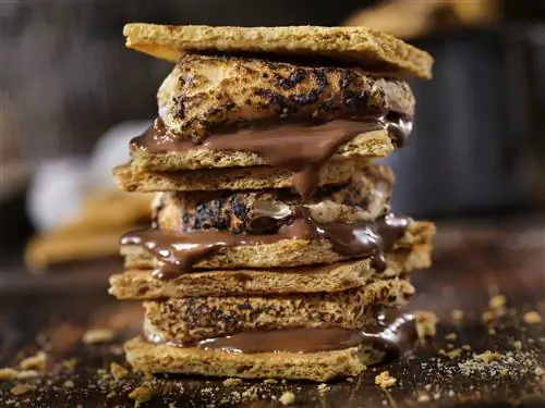 Наслаждайтесь летом S’mores с этими вирусными рецептами пирожных и печенья