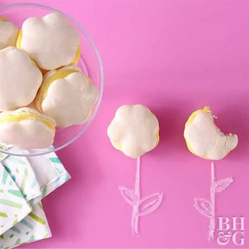 EasyFlowerMacaron RU304351-j.webp