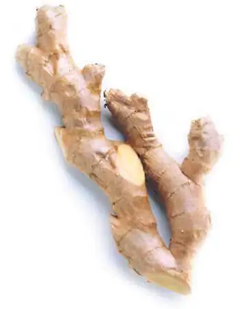 корень имбиря 2