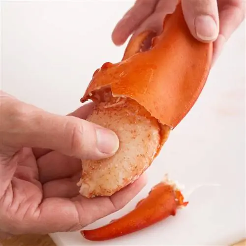 удаление мясной клешни лобстера удаление мясной клешни лобстера
