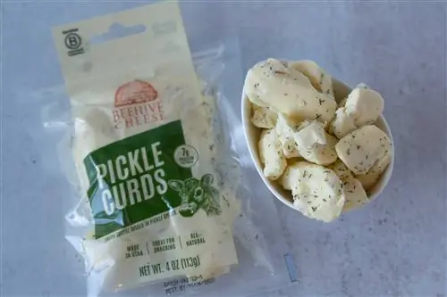 Творог с рассолом «Улей» поступит в продажу в Trader Joe’s Творог с рассолом «Улей» поступит в продажу в Trader Joe’s