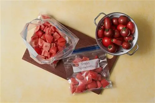 помидоры в полиэтиленовых пакетах для хранения на молнии