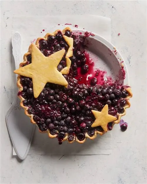 Чернично-шоколадный пирог с корочкой из печенья