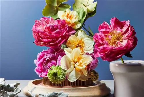 цветочные лягушки с яркими цветами на синем фоне