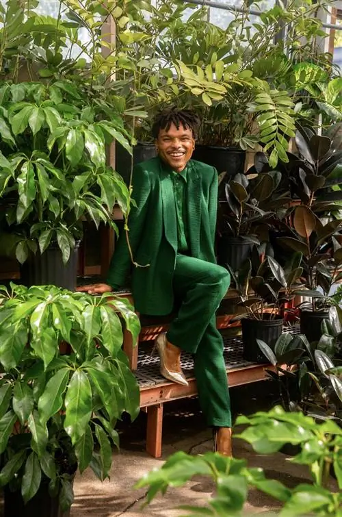 Растение Квин сидит в теплице