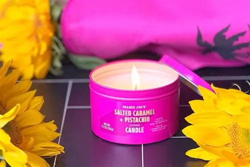 Горящая свеча Trader Joe's S alted Caramel + Pistachio Scented, ярко-розовая банка