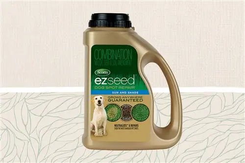 Scotts EZ Seed Dog Spot Repair Sun and Shade Scotts EZ Seed Dog Spot Repair Sun and Shade