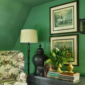 Зеленая окрашенная стена от Benjamin Moore x Williamsburg Зеленая окрашенная стена от Benjamin Moore x Williamsburg