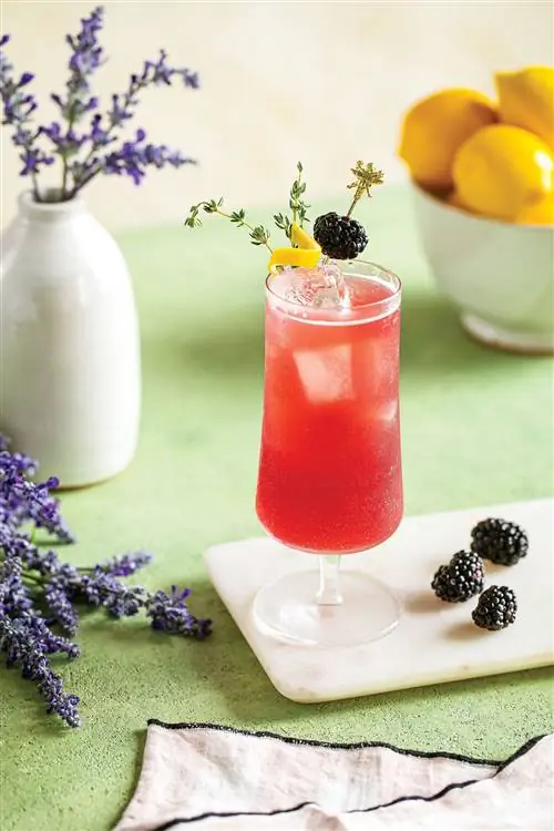 Коктейль Bergamotto Spritz на столе с лавандой и лимонами на заднем плане Коктейль Bergamotto Spritz на столе с лавандой и лимонами на заднем плане