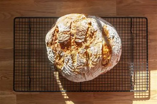 Расписной хлеб - самая красивая тенденция в выпечке. Вот как это сделать самостоятельно