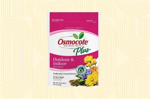 Osmocote Plant Food Tout