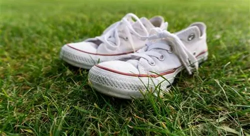 Как почистить обувь Converse