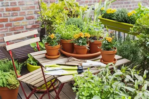 Как чистить терракотовые горшки