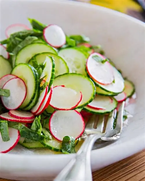 Салат из редиски с огурцами