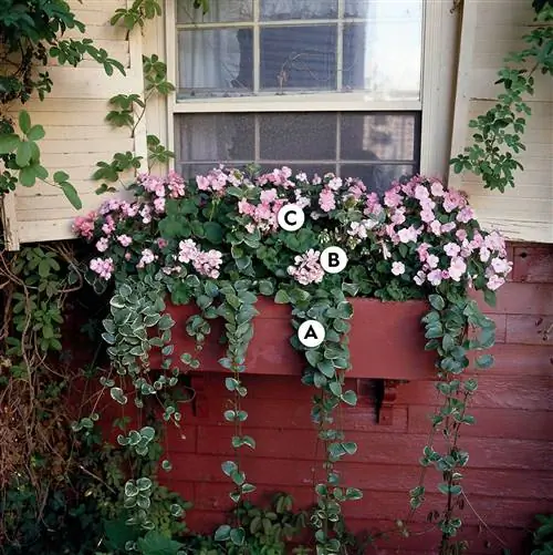 Window Box с барвинком, геранью и недотрогой