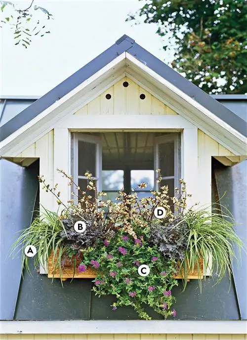 деревянный оконный ящик Осока Kale Verbena Coralbells