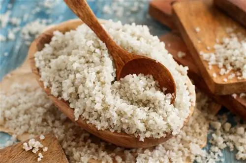 Кельтская морская соль в деревянной миске с деревянной ложкой