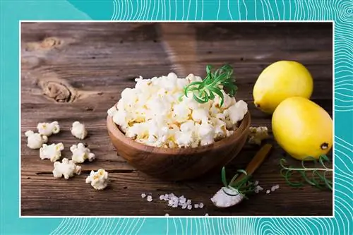 Чаша попкорна с лимоном, розмарином и морской солью с синей каймой Чаша попкорна с лимоном, розмарином и морской солью с синей каймой