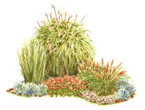 Уголок травяного сада