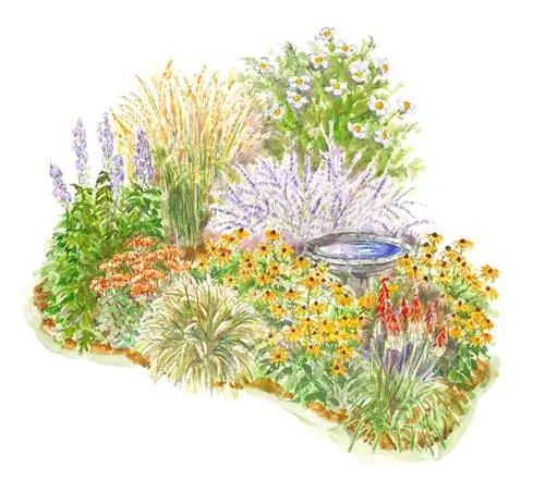 садовая иллюстрация