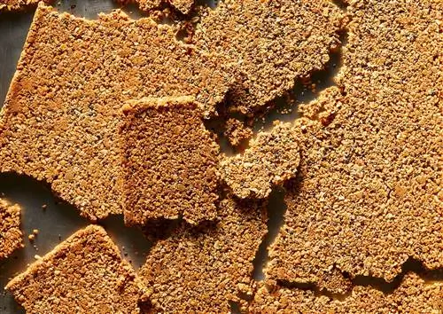 Овсяные чипсы с кокосом и чиа
