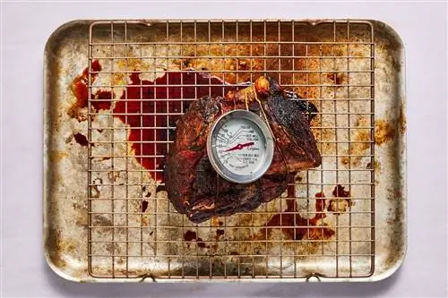термометр для мяса в вареной говяжьей вырезке
