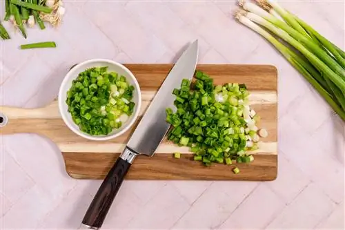 Как использовать зеленый лук и получить максимальную отдачу от этого вкусного овоща