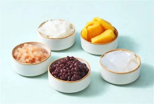 Halo Halo Ингредиенты