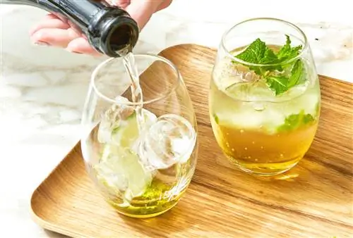 добавление просекко к коктейлю Hugo Spritz