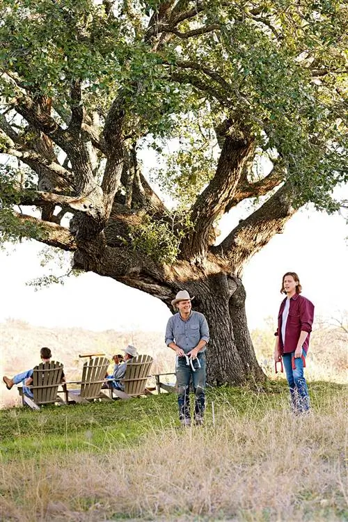 мужчины играют в подковы на травянистом холме