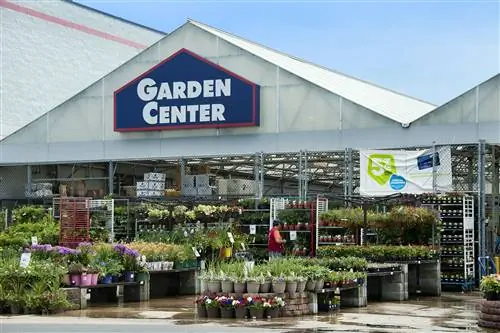 Вы можете получить бесплатное цветущее растение от Lowe's This Mother's Day