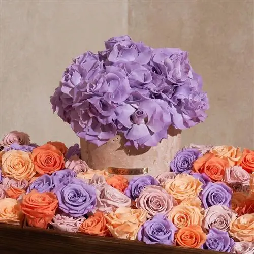 Ваза Venus et Fleur из травертина с фиолетовыми и оранжевыми цветами